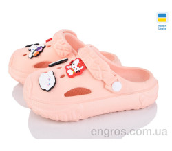 Кроксы Golden Lion